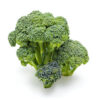 Sprouting Broccoli - Imagen 3
